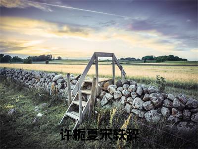 小说（许栀夏宋轶辞）许栀夏宋轶辞全文免费阅读无弹窗-许栀夏宋轶辞小说全文在线赏析（今日更新最新章节）