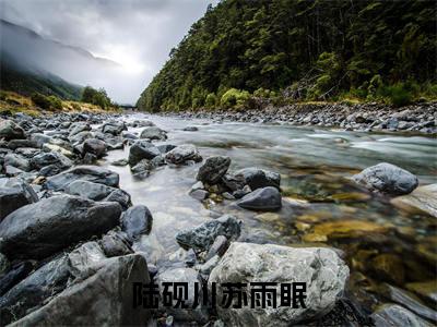 陆砚川苏雨眠（苏雨眠陆砚川）小说免费无弹窗大结局-陆砚川苏雨眠小说全文完整版阅读