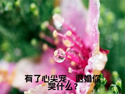 有了心尖宠，退婚你哭什么？（池莹月）全文免费在线阅读_有了心尖宠，退婚你哭什么？全文免费阅读无弹窗大结局