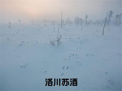 洛川苏酒阅读无弹窗大结局_（苏酒洛川阅读无弹窗）最新章节列表_笔趣阁（苏酒洛川）