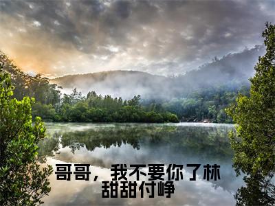 哥哥，我不要你了林甜甜付峥（林甜甜付峥）全文免费阅读无弹窗大结局_哥哥，我不要你了林甜甜付峥最新章节列表（林甜甜付峥）