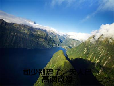 司少别虐了，夫人已高调改嫁是什么小说-（鹿染）司少别虐了，夫人已高调改嫁无弹窗免费阅读大结局最新章节列表_笔趣阁