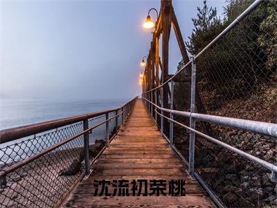 沈流初荣桃（沈流初荣桃小说）全文免费阅读无弹窗大结局_（沈流初荣桃小说）最新章节列表