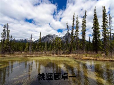 顾卓一姚遥姚遥顾卓一小说全文无广告阅读-顾卓一姚遥小说赏析姚遥顾卓一