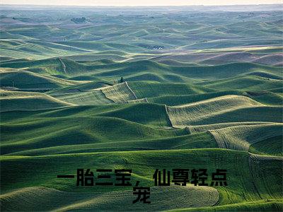 一胎三宝，仙尊轻点宠（沈知素）小说精彩免费内容_一胎三宝，仙尊轻点宠（沈知素）最新章节全文阅读大结局