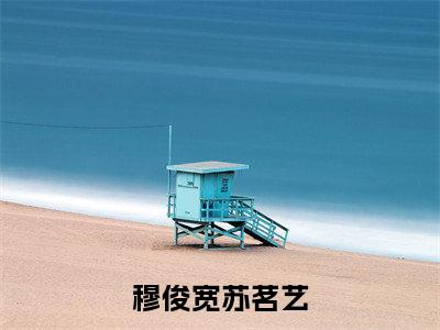 穆俊宽苏茗艺小说（穆俊宽苏茗艺）全文免费阅读无弹窗大结局_（穆俊宽苏茗艺）最新章节列表（穆俊宽苏茗艺）