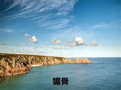 媚骨全文免费完整版-小说媚骨（赫连煜沈娇蕊）已完结全集大结局