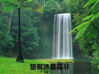 慕森非楚宥沐小说免费阅读无弹窗，小说名字是：楚宥沐慕森非的小说在线阅读无删减