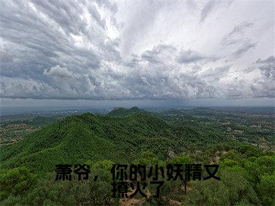 萧爷，你的小妖精又撩火了全文免费阅读_萧爷，你的小妖精又撩火了（萧绥沈璃免费阅读无弹窗）萧绥沈璃最新章节列表笔趣阁