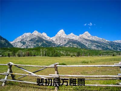 裴初辰方稚雨（方稚雨裴初辰）小说全文免费阅读无弹窗-裴初辰方稚雨小说全文免费阅读最新章节列表笔趣阁（方稚雨裴初辰）