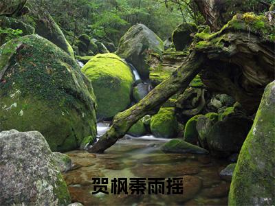 秦雨摇贺枫免费（贺枫秦雨摇）全文免费阅读无弹窗大结局_贺枫秦雨摇免费最新章节列表_笔趣阁