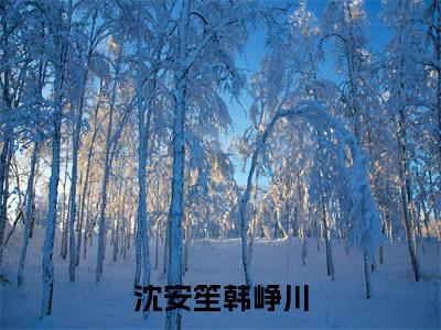 沈安笙韩峥川全文免费阅读无弹窗-（沈安笙韩峥川）沈安笙韩峥川最新章节列表在线阅读