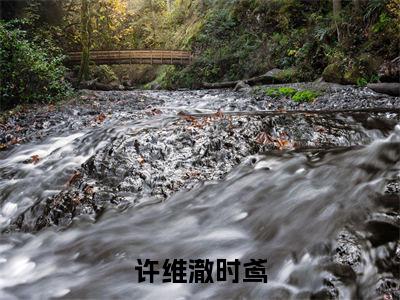 许维澈时鸢高甜小说最新章节-时鸢许维澈全文阅读