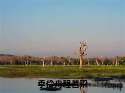 程茗染季伶舟是什么小说-（季伶舟程茗染全文阅读）最新章节列表