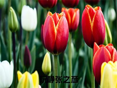 阮静张之彦阅读无弹窗大结局_（张之彦阮静阅读无弹窗）最新章节列表_笔趣阁（张之彦阮静）