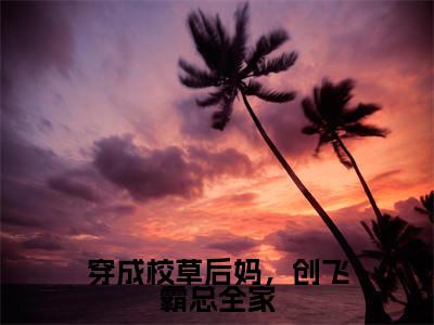 黎昭（穿成校草后妈，创飞霸总全家）是什么小说_主角是（黎昭）的小说（穿成校草后妈，创飞霸总全家）最新章节无弹窗阅读