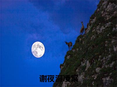 凌棠谢夜深小说免费阅读-谢夜深凌棠完整版全文大结局