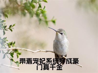 带着宠妃系统穿成豪门真千金全集免费阅读无弹窗_凌意完结小说榜单阅读（凌意小说）