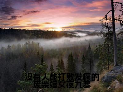 没有人能打败发癫的废柴嫡女夜九寒大结局全文免费阅读最新章节_姜妩夜九寒大结局