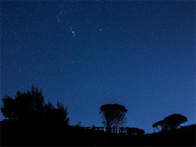 苏晴雨荆楚热门榜单小说苏晴雨荆楚完本小说无弹窗免费阅读