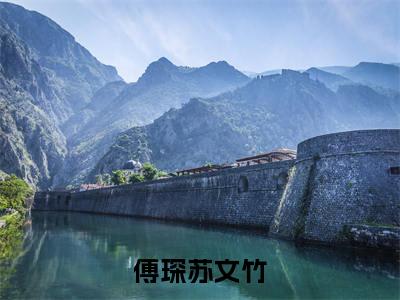 苏文竹傅琛（傅琛苏文竹）小说免费阅读_苏文竹傅琛精选小说全文阅读（傅琛苏文竹）