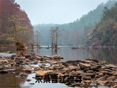 宋桑音江谚寻小说（江谚寻宋桑音）全文免费阅读无弹窗大结局_（宋桑音江谚寻）江谚寻宋桑音最新章节列表