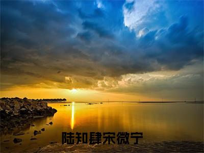 陆知肆宋微宁（宋微宁陆知肆）小说全文免费阅读无弹窗_（宋微宁陆知肆全文阅读）陆知肆宋微宁免费阅读大结局