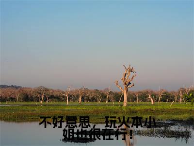 主人公叫（墨尘胤叶之宁）的小说（不好意思，玩火本小姐也很在行！）全文免费阅读最新章节列表_笔趣阁