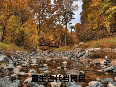 叶羽（重生古代当良民）全文免费阅读无弹窗-重生古代当良民主角叫叶羽的小说全章节免费阅读