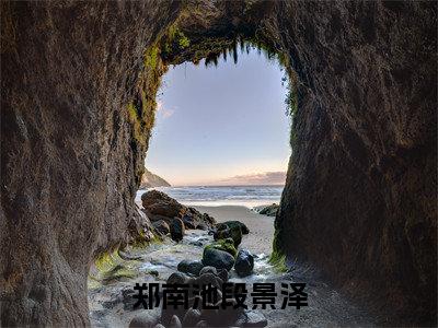 郑南池段景泽的小说全文免费阅读无弹窗，段景泽郑南池的小说在线免费阅读大结局（段景泽郑南池）