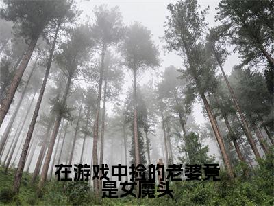 在游戏中捡的老婆竟是女魔头小说（宋烨）全文免费阅读_（宋烨）在游戏中捡的老婆竟是女魔头最新章节列表笔趣阁