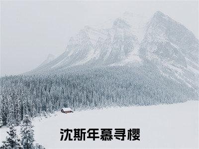 慕寻樱沈斯年（沈斯年慕寻樱）小说全文在线阅读_慕寻樱沈斯年最新章节在线阅读_笔趣阁