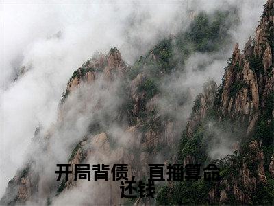开局背债，直播算命还钱小说最新章节在线阅读_开局背债，直播算命还钱在线阅读