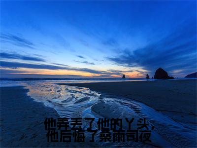 他弄丢了他的丫头，他后悔了桑雨司夜全文小说（桑雨司夜）全文阅读-他弄丢了他的丫头，他后悔了桑雨司夜在线小说免费阅读