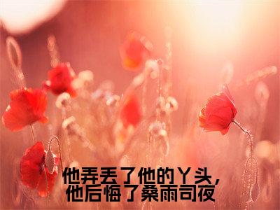 桑雨司夜（他弄丢了他的丫头，他后悔了桑雨司夜）女生必看小说全集_他弄丢了他的丫头，他后悔了桑雨司夜（桑雨司夜）全文免费阅读