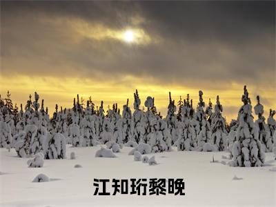 后续+全集江知珩黎晚（完整版）热文小说阅读-江知珩黎晚全文抖音热推