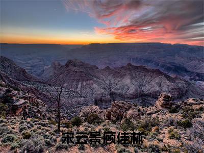 宋云景顾佳林小说在线阅读全文无弹窗大结局_宋云景顾佳林小说免费最新章节列表