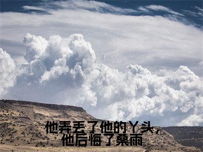 桑雨司夜小说免费阅读全文（桑雨司夜）全文免费阅读无弹窗大结局_他弄丢了他的丫头，他后悔了桑雨最新章节列表