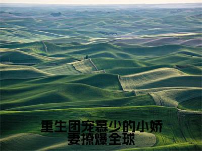小说（重生团宠慕少的小娇妻撩爆全球）_慕司寒陆云笙全文阅读_小说重生团宠慕少的小娇妻撩爆全球免费阅读（慕司寒陆云笙）笔趣阁