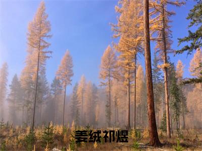 姜绒祁煜免费小说-（姜绒祁煜）姜绒祁煜完结版在线阅读