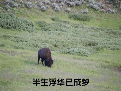 半生浮华已成梦（姜苓然裴郁临）全文免费阅读无弹窗大结局_（半生浮华已成梦免费阅读全文大结局）最新章节列表