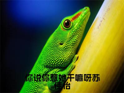 你说你惹她干嘛呀苏佳怡全文免费阅读在线阅读苏佳怡全文免费阅读最新章节列表_笔趣阁