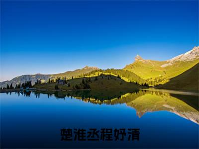程妤清楚淮丞（楚淮丞程妤清）全文免费阅读无弹窗大结局_程妤清楚淮丞楚淮丞程妤清_笔趣阁