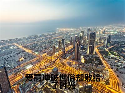 爱意冲破世俗却败给了时光（黎彦苏晚舟）最新章节阅读-热点小说榜单推荐黎彦苏晚舟