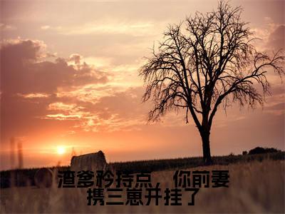 渣爹矜持点，你前妻携三崽开挂了（陆夕柠季牧野）全文免费阅读无弹窗大结局_（陆夕柠季牧野）全文最新章节列表