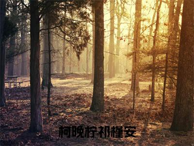 柯晚柠祁槿安（柯晚柠祁槿安）全文免费阅读无弹窗_柯晚柠祁槿安（柯晚柠祁槿安）全文阅读-笔趣阁