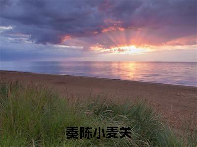 奏陈小麦关（小麦关奏陈）小说免费无弹窗大结局-奏陈小麦关小说全文完整版阅读