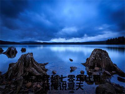 夏天（特工穿越七零年代苟成传说夏天）全文免费阅读无弹窗_夏天特工穿越七零年代苟成传说夏天最新章节免费阅读_笔趣阁