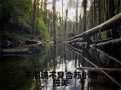 苏雨眠江易淮（不原谅不复合苏小姐独美）全文免费阅读无弹窗大结局_不原谅不复合苏小姐独美_笔趣阁