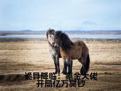 诡异降临：氪金大佬开局亿万冥钞小说全文免费阅读（林星洛）全文免费阅读无弹窗大结局_诡异降临：氪金大佬开局亿万冥钞最新章节列表
